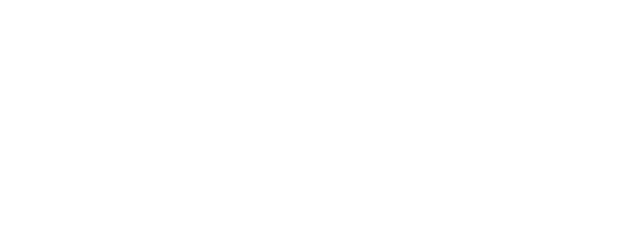 E-FIGHT